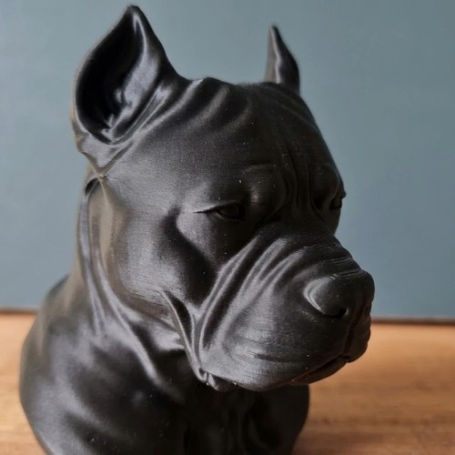 Pitbull terrier dog bust - dog,