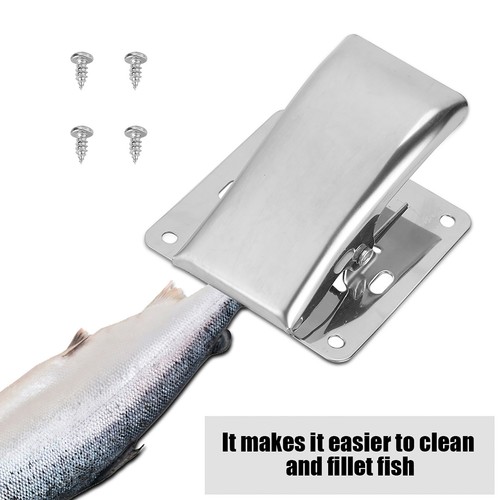 Stainless steel fish - fish, fillet