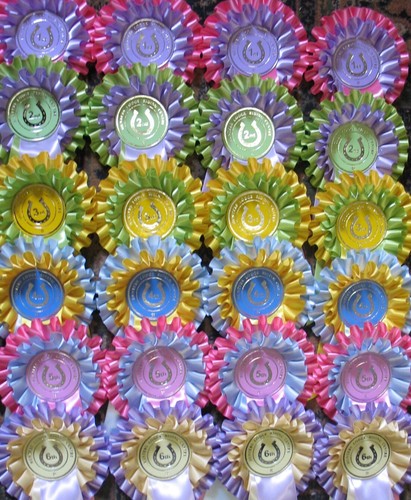 Pretty rosettes 1st 6th - pretty,