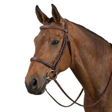 Henri de Rivel Advantage Fancy