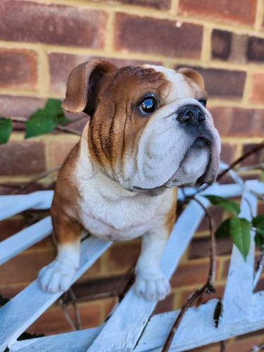 Vivid arts bulldog garden - arts,