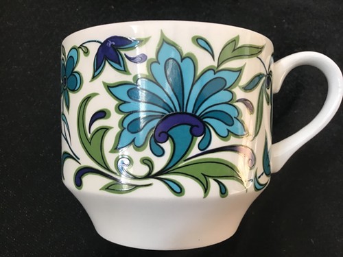 Midwinter spanish garden cups - midwinter,
