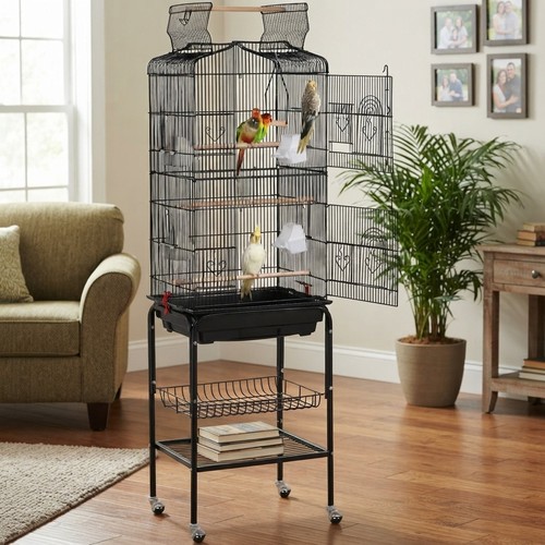 Elegant black bird cage - bird, on