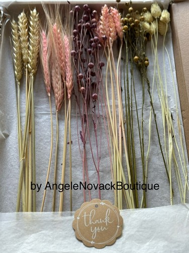 Dried flowers stems posy - dried,