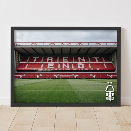 Nottingham forest print - forest, fc