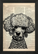 Poodle Dog illustration Framed