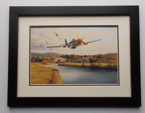 X17 aircraft print framed - 13"x17",