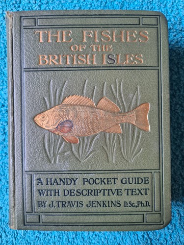 Wayside woodland fishes of - &,
