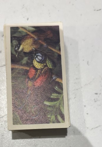 Brooke bond tea - tropical, birds