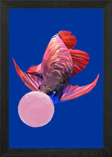 arowana bubblegum animal