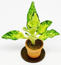 Dolls House Green Plant Single