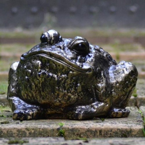 Stunning life size bullfrog - stunning,