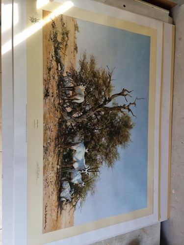 David shepherd pencil signed - david,