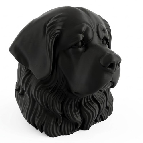 Tibetan mastiff dog bust - tibetan,
