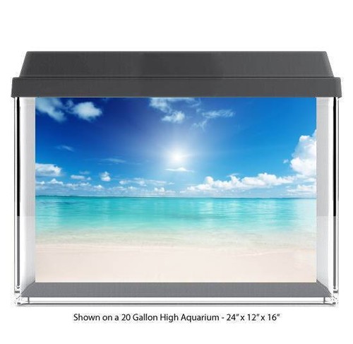 Tropical beach sun rise - tropical,