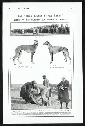 Altcar waterloo cup 1907 - waterloo,