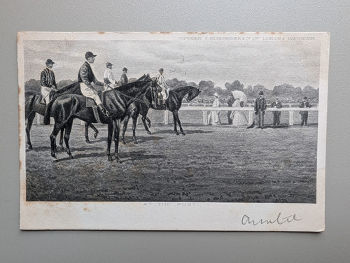 Old postcard sport horse - old,