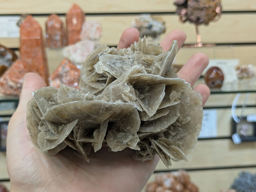 Desert rose selenite oued - desert,