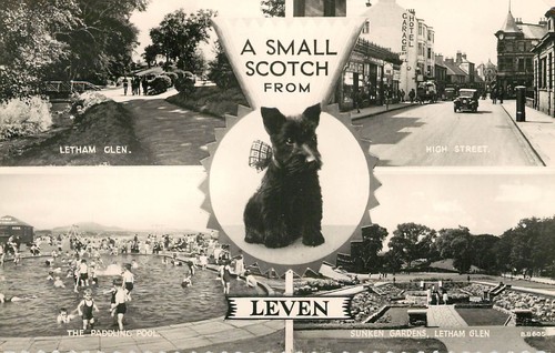 Leven fife small - -, scotch