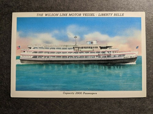 Wilson line motor - motor, mv