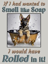 German Shepherd Alsatian Pet