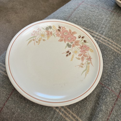 Boots hedge rose dinner plates - hedge,