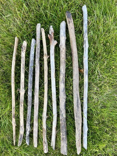 Driftwood pieces art - pieces,