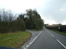 Photo 6x4 Bear left to Oakley