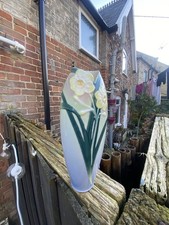 Beautiful Franz Daffodil