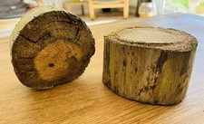 2 WEATHERED DRIFTWOOD PIECE