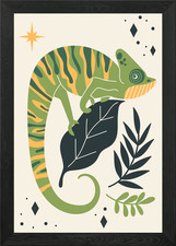 wild animal iguanas Framed