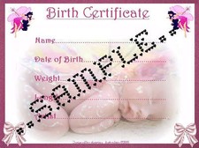 PINK FAIRY BIRTH CERTIFICATE/CERTIFICATES 4 REBORN FAKE BABY approx 7"x 5"