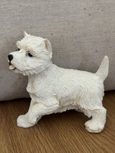 Westie dog west highland - west,