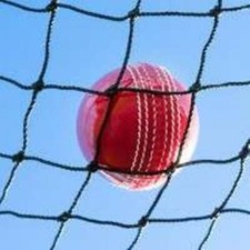 Cricket net ball stop - net, practice