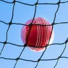 Cricket Net Ball Stop Practice Cage Batting Sports Tennis Netting Choose Size