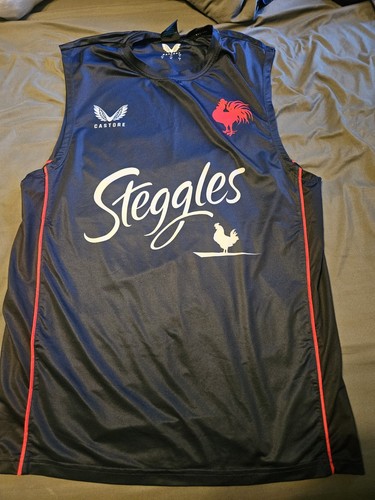 Castore sydney roosters rugby - castore,