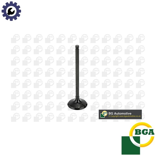 Intake valve v998745 - intake,