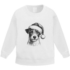 'Jack Russell Dog Wearing