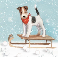 Wadars Charity 'Dog on Sled'