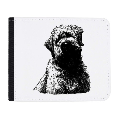 Soft coated wheaten terrier - coated, terrier'