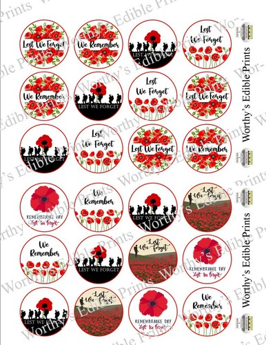 Remembrance day poppy - remembrance, appeal