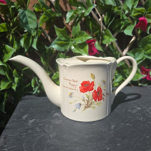 Royal winton planter watering - royal,