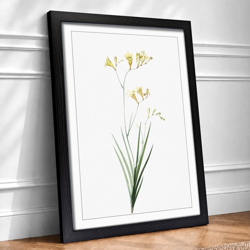 Freesia flowers vintage - freesia,