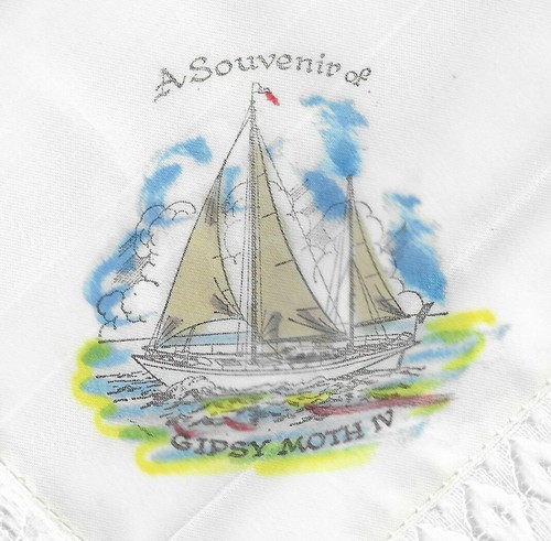 Vintage gipsy moth souvenir - moth,