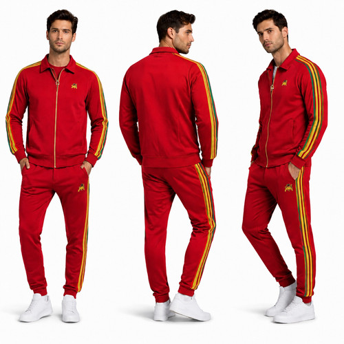 Men rasta stripe tracksuit - tracksuit, zip