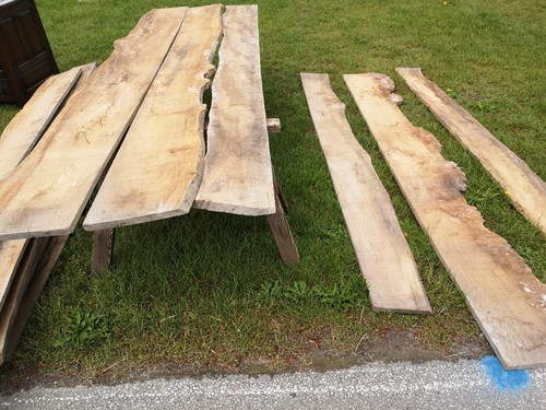 Elm long planks live - elm,