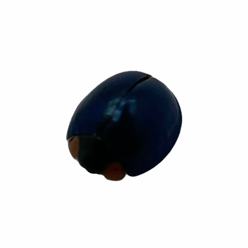 Steelblue ladybird bug halmus - steelblue, (halmus