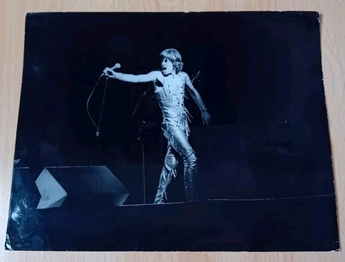 Mick jagger the - mick, rolling