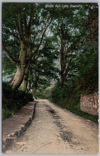 Oswestry shropshire broom - shropshire,