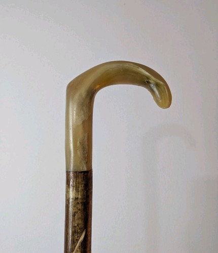 Shepherds crook rams - shepherds,